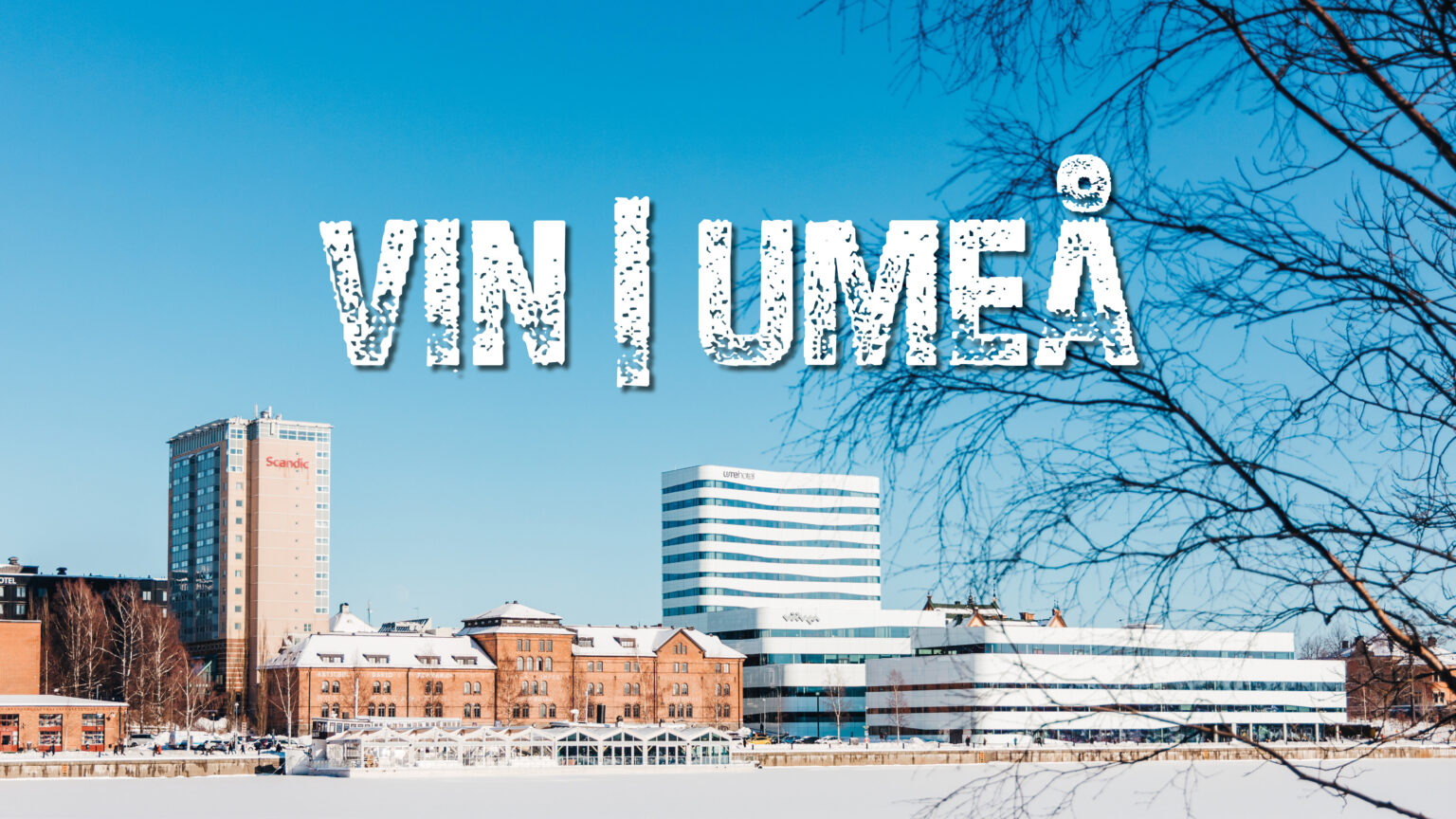 Vin i Umeå 2025