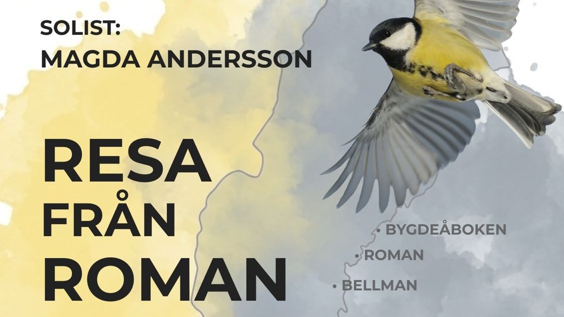 Resa från Roman till Riedel