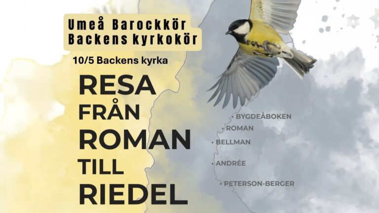 Resa från Roman till Riedel